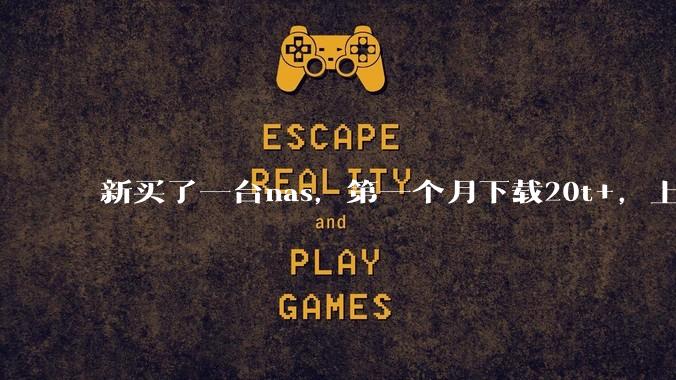 新买了一台nas，第一个月下载20t+，上传5+，不会被网警盯上吧?